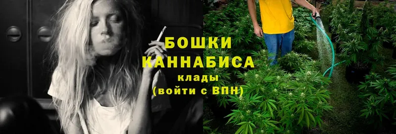 Бошки Шишки THC 21%  магазин    Гусиноозёрск 